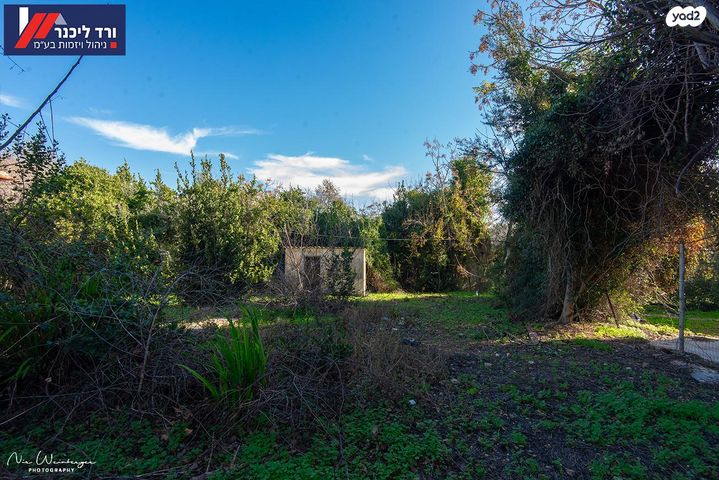 בית פרטי/ קוטג', טבעון הוותיקה, קרית טבעון