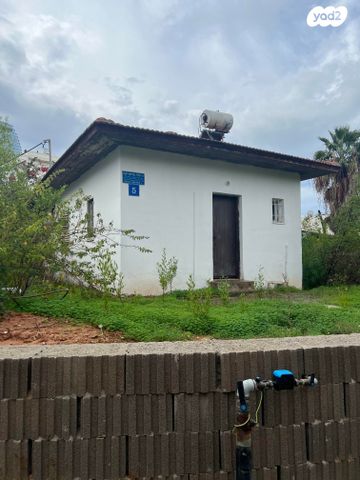 גולי אריתריאה 