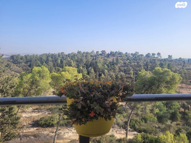 דירה, החורש, חריש