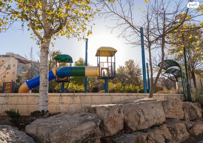 זית שמן 47