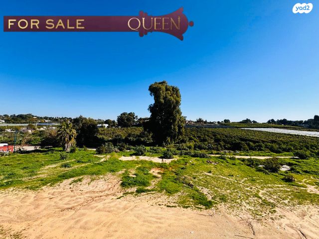 גג/ פנטהאוז, תל מונד