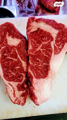 חנויות/ שטח מסחרי