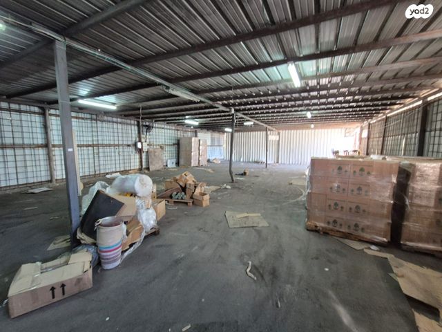 יצחק בן צבי 