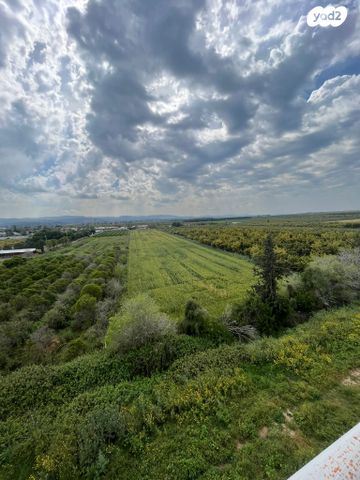 דירה, הזמיר, נהריה