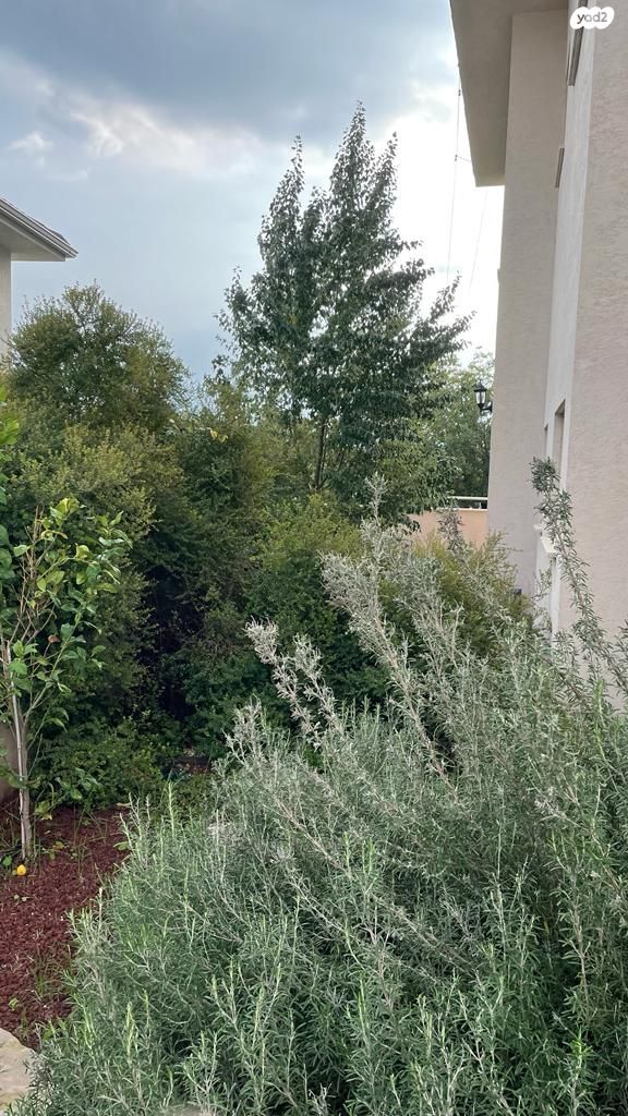 דו משפחתי, רמת ישי