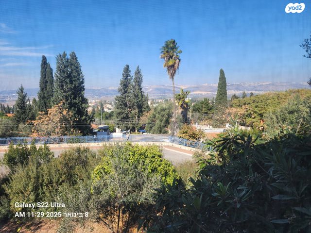 שאול טשרניחובסקי 3