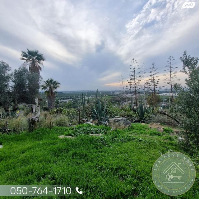 בית פרטי/ קוטג', כברי