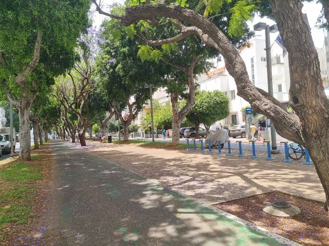 שדרות רוטשילד 