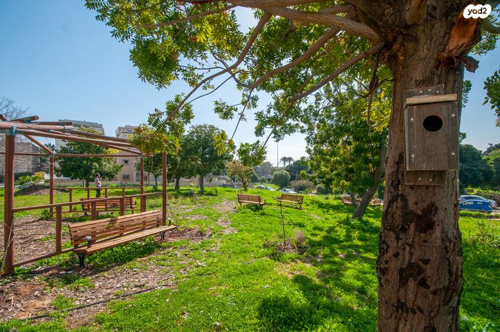 ישראל מסלנט 