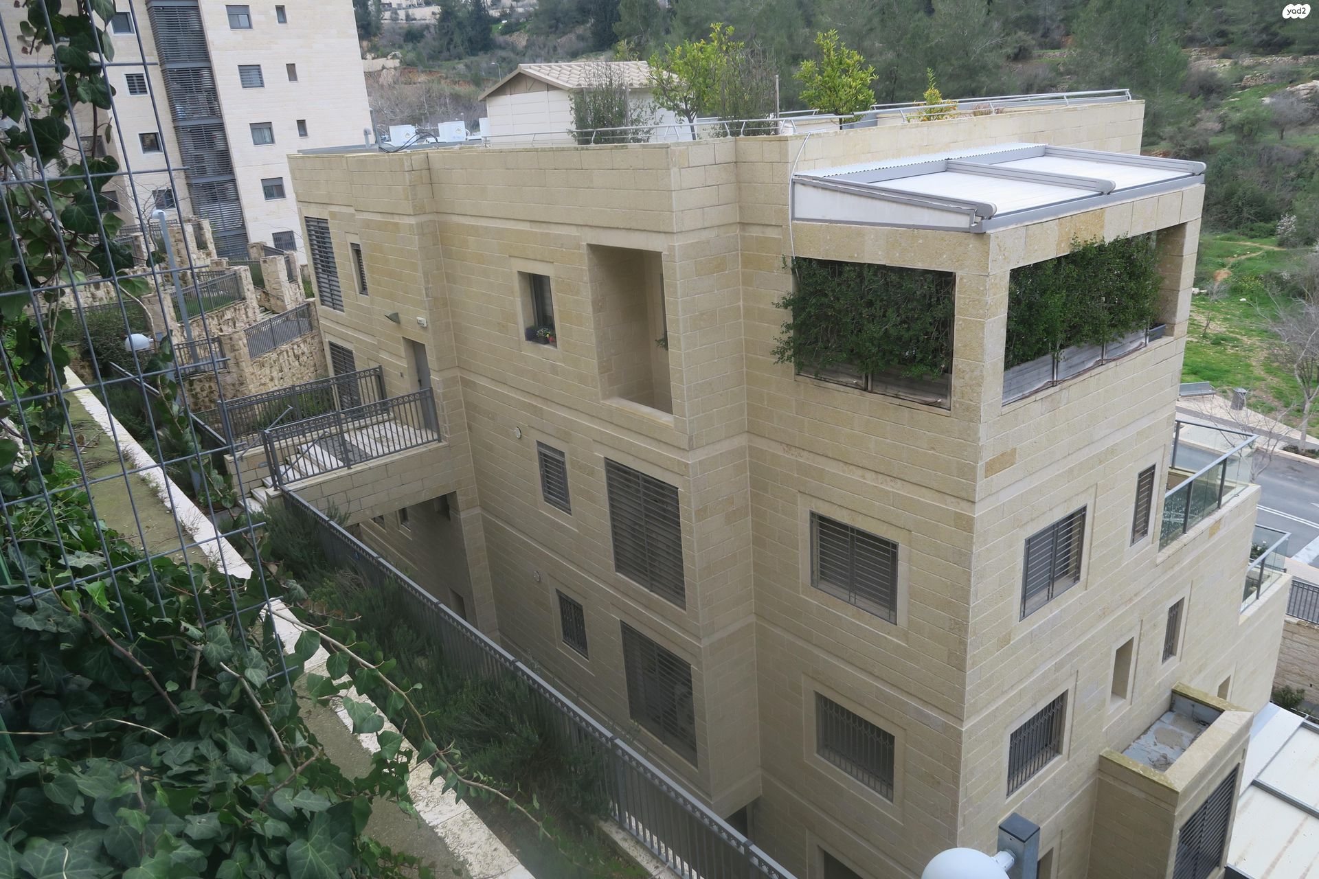 טור סיני 15