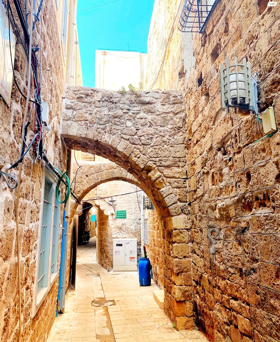 הבהאים 