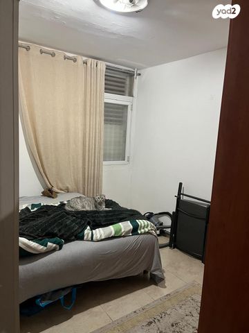 דירה, יצחק שדה, יצחק שדה, אזור