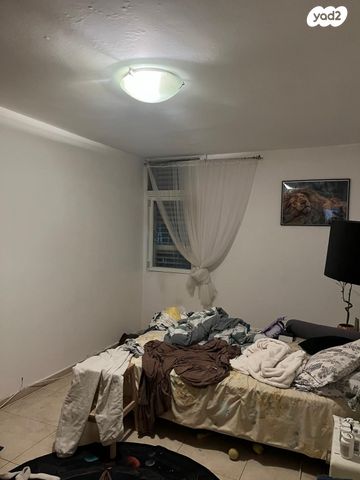 דירה, יצחק שדה, יצחק שדה, אזור