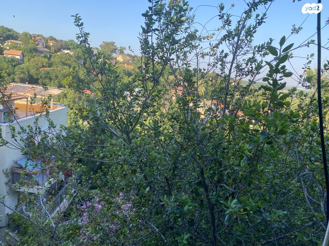 דירה, קרית טבעון