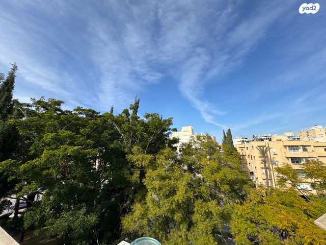 הרב קוק 53