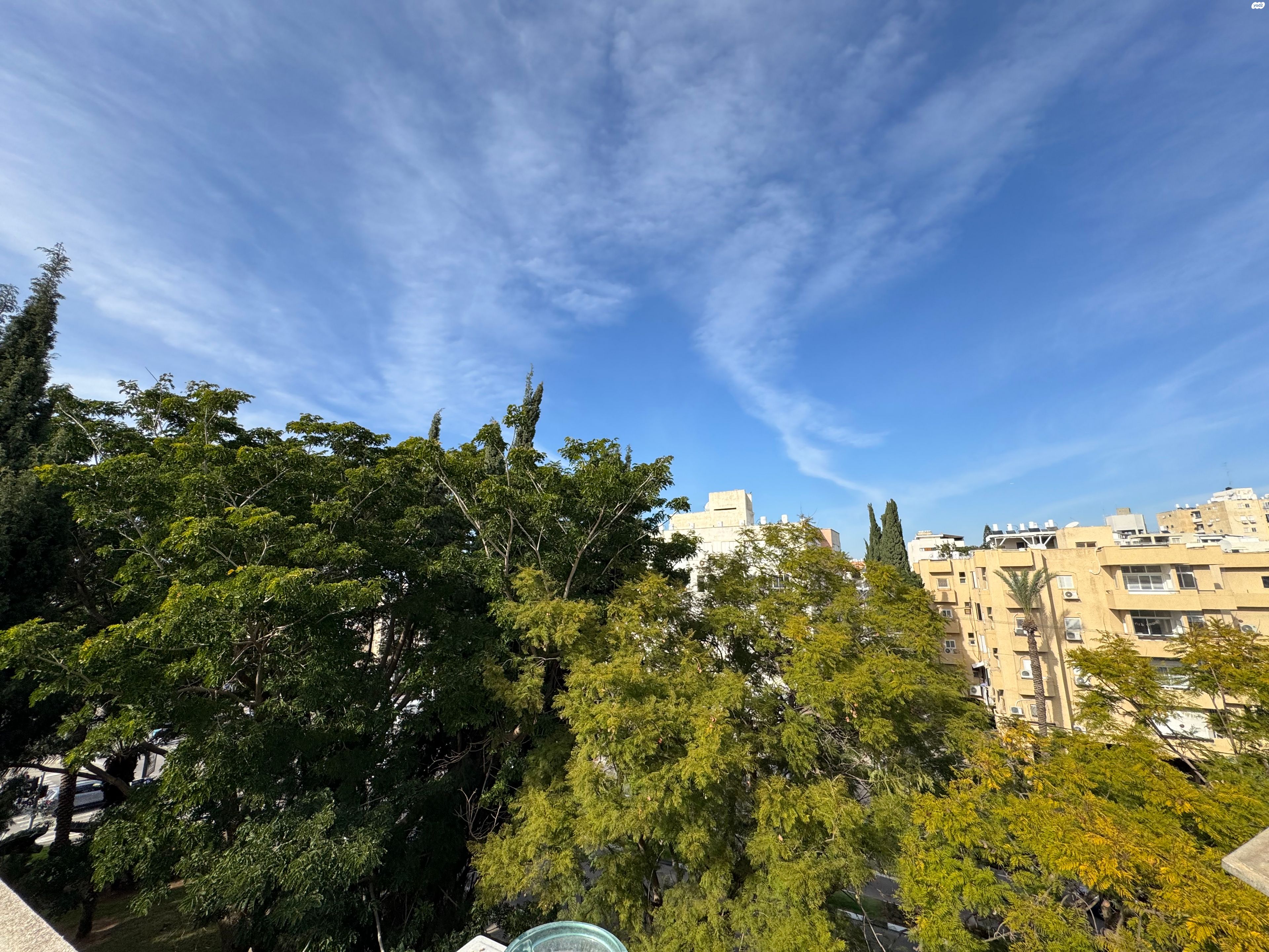 הרב קוק 53