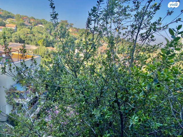 דירה, קרית טבעון