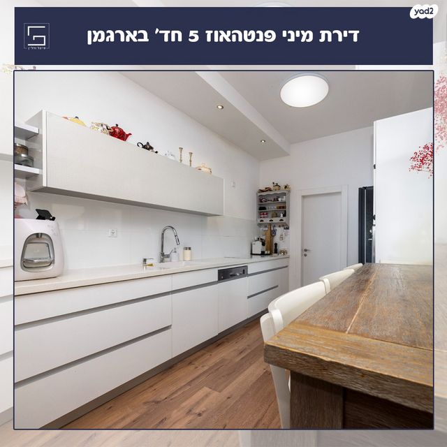 גג/ פנטהאוז, ארגמן, נס ציונה