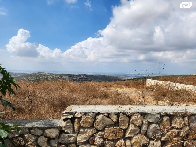 ריחן