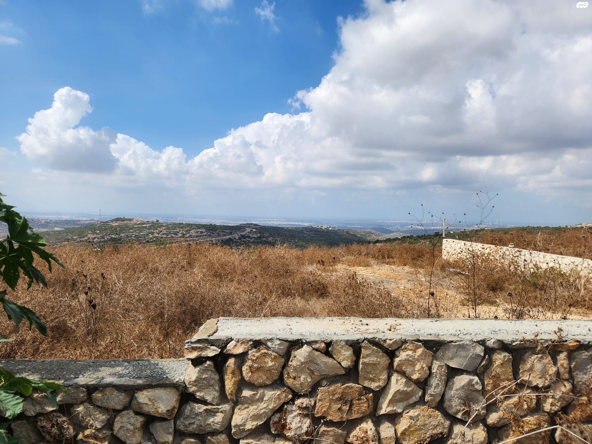 ריחן