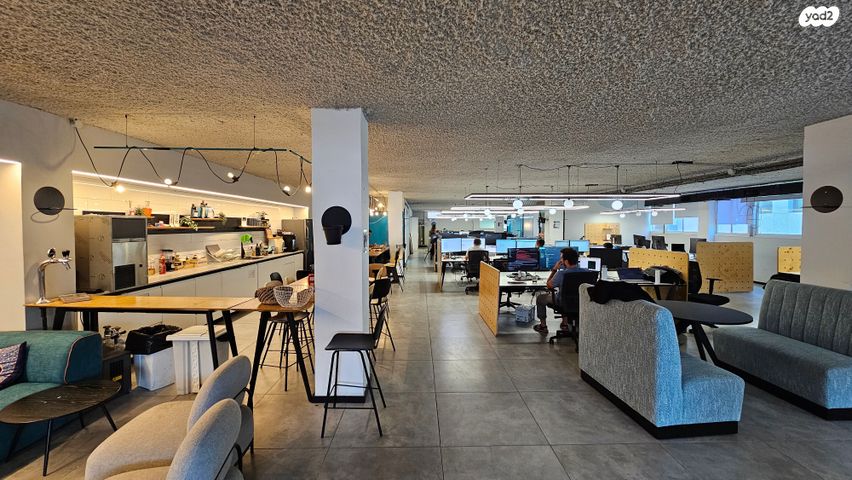 יגאל אלון 114