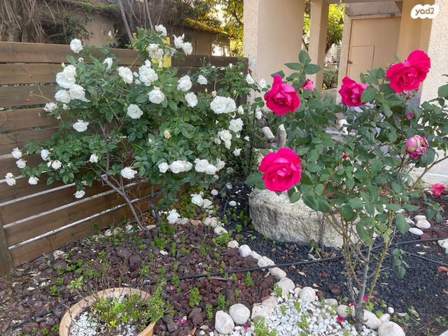 דירה, העמק, מרכז, כפר סבא