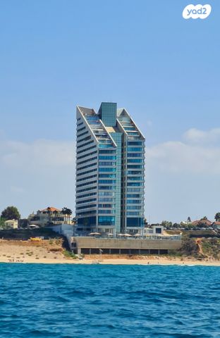 אלי לנדאו 50