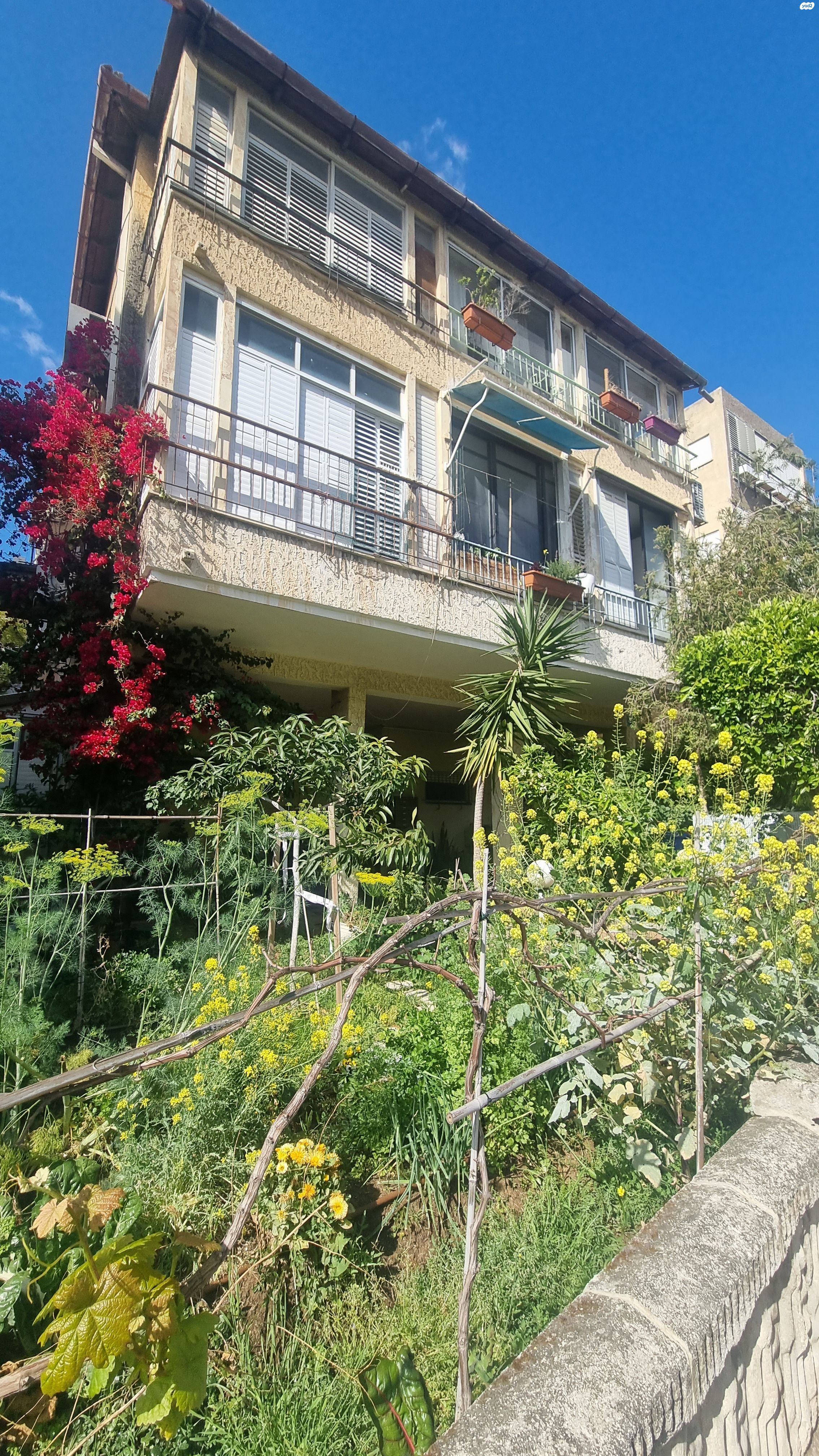 חנה סנש 