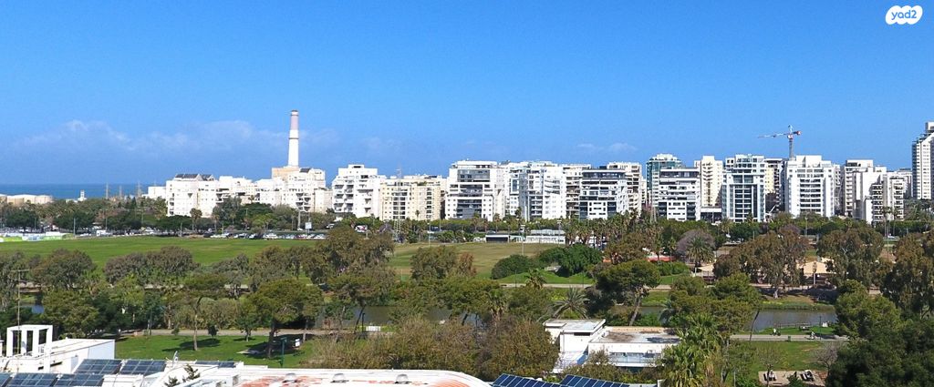 שלומציון המלכה 40