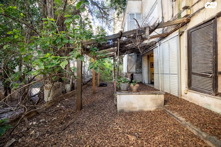 דירת גן, ויזל, הצפון הישן - צפון, תל אביב יפו