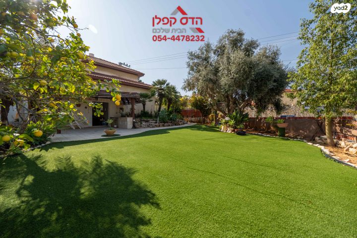 אורן 