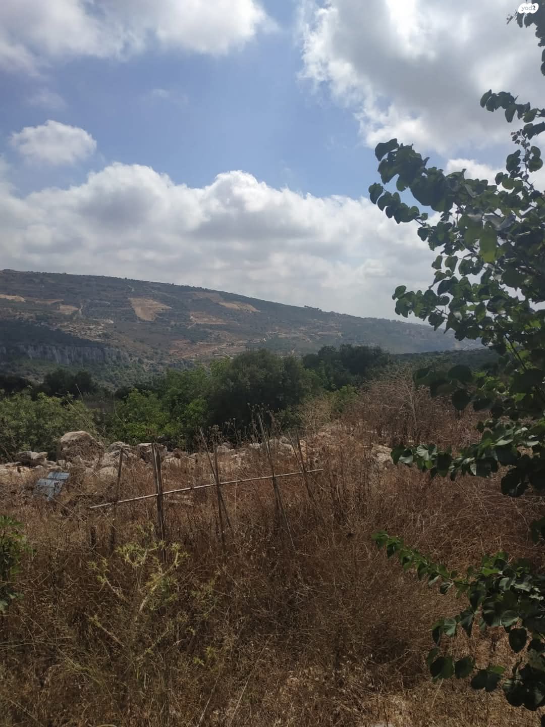 גיתה 