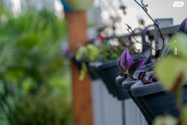 דירת גן, שוהם 48, אבני חן, חריש