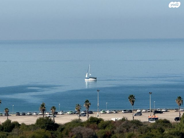 שדרות לוי אשכול 