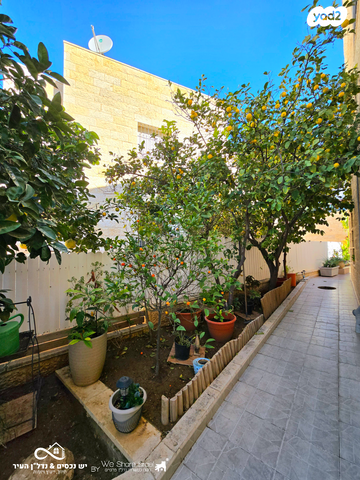 דו משפחתי, השופר, כלי שיר, מעלה אדומים