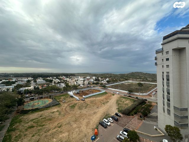 ארזי הלבנון 