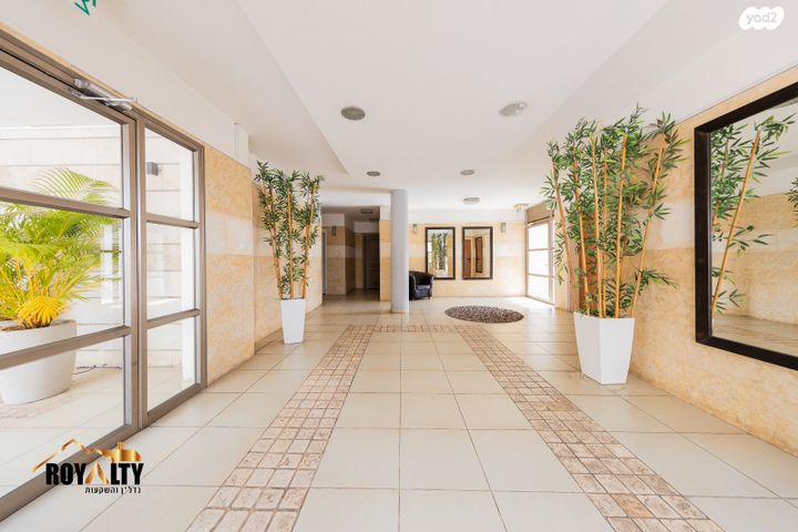 רחובות ההולנדית