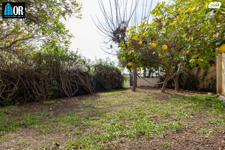 דו משפחתי, שקנאי, טירת שלום, נס ציונה