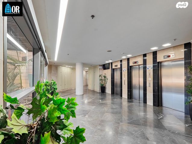 דירה, מאיר אריאל, קרית האמנים, מצליח, רמלה