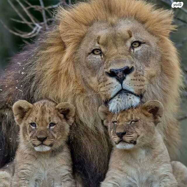 דירה, נעורים, ראשון לציון