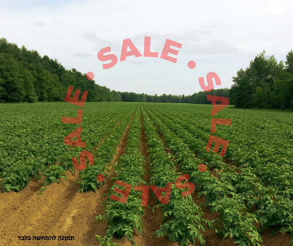 משק חקלאי/ נחלה