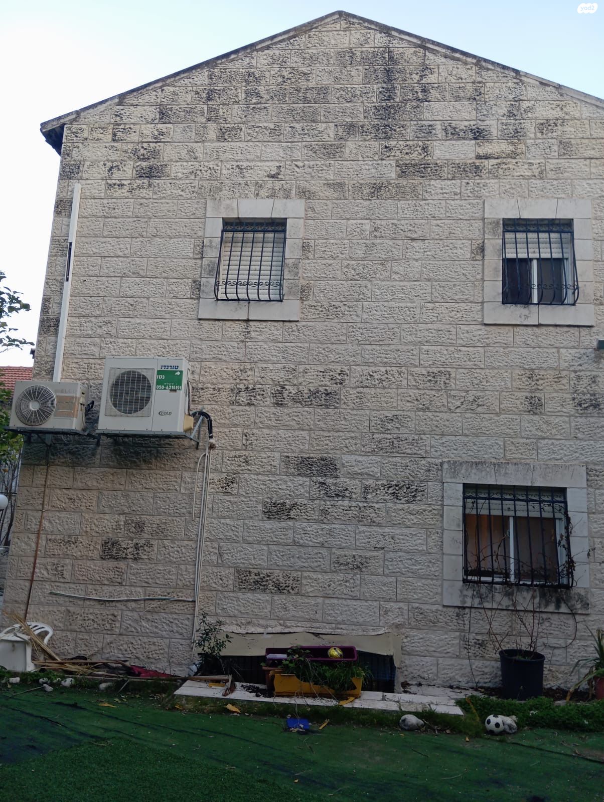 שושנה 