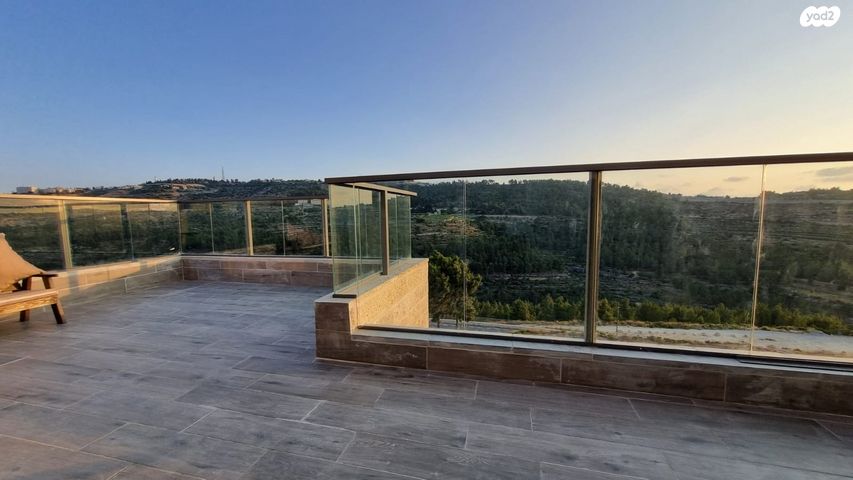 אבנר חי שאקי 