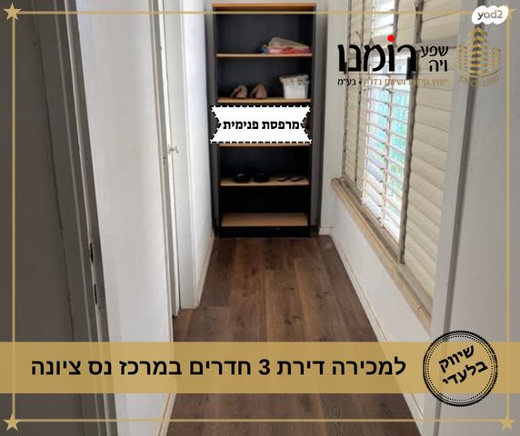 דירה, נס ציונה