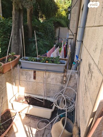 דירה, הפורצים, ירושלים