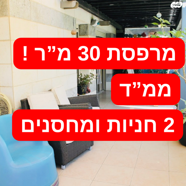 שמעון בן צבי 