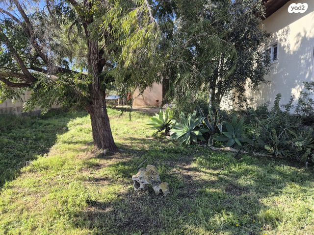 בית פרטי/ קוטג', אלונים, חיננית
