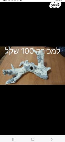 תמונת מודעה - חיות מחמד