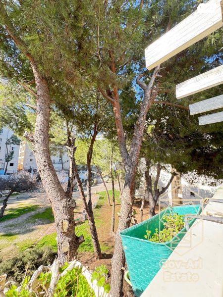 דירה, אפרסמון, גילה, ירושלים