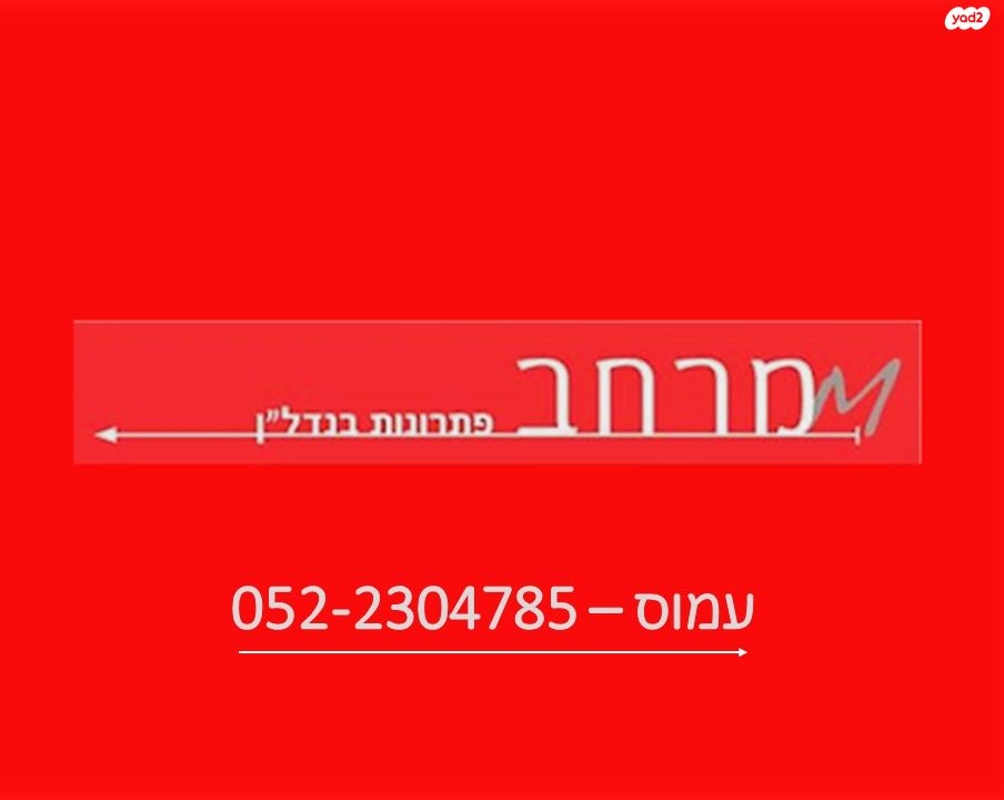 לסטר/רבוצקי